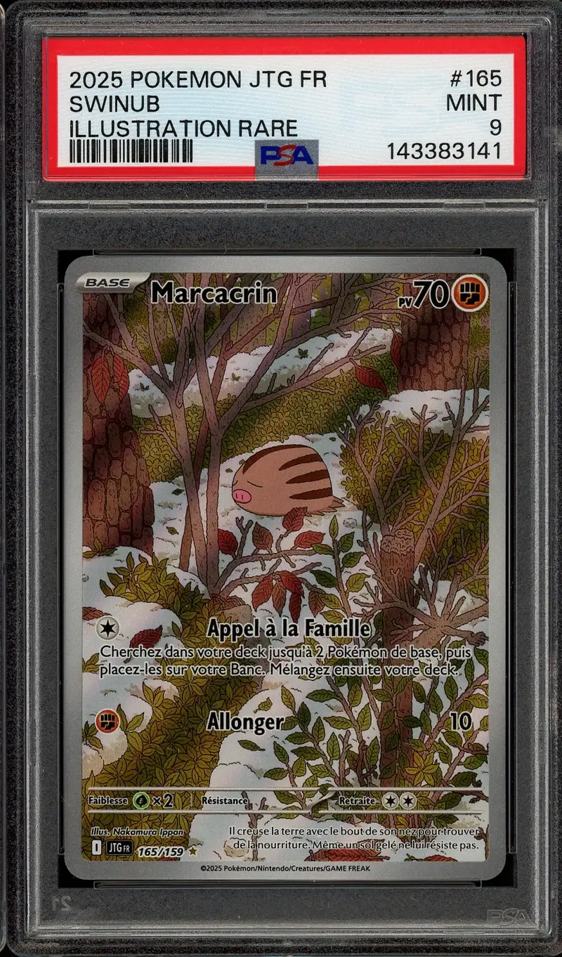 PSA 9 Marcacrin