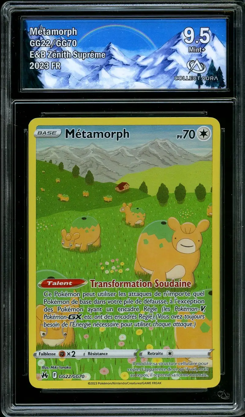 CA 9.5 Métamorph