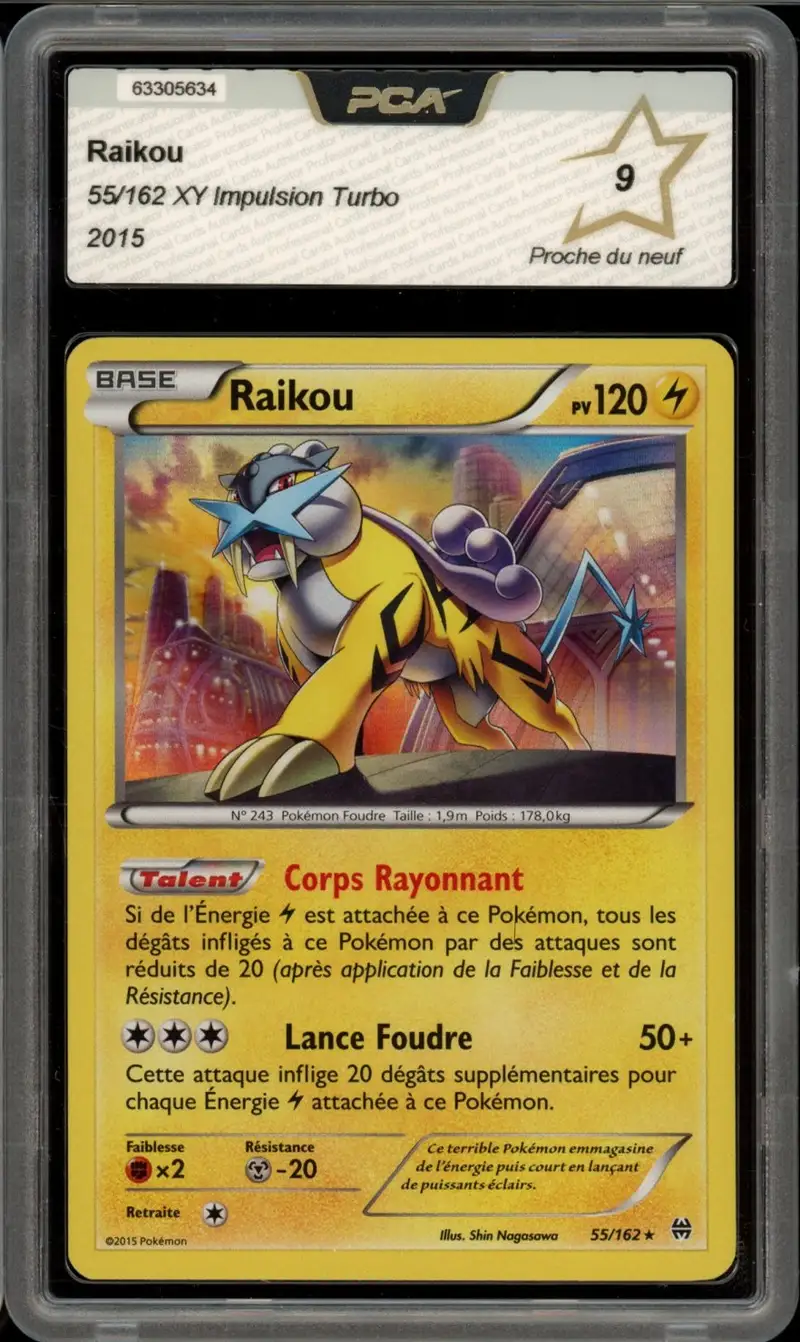 PCA 9 Raikou Holo