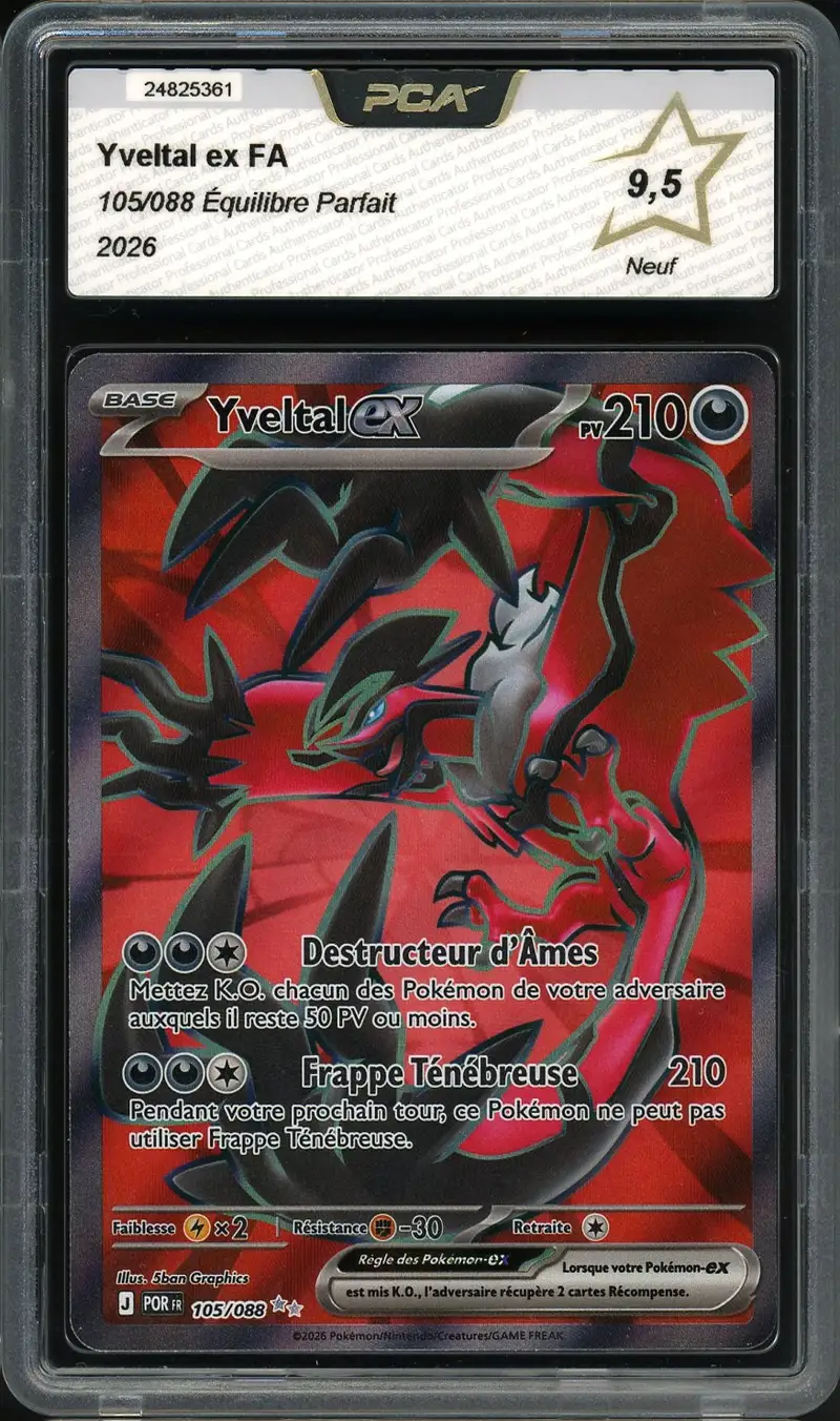PCA 9.5 Yveltal Ex