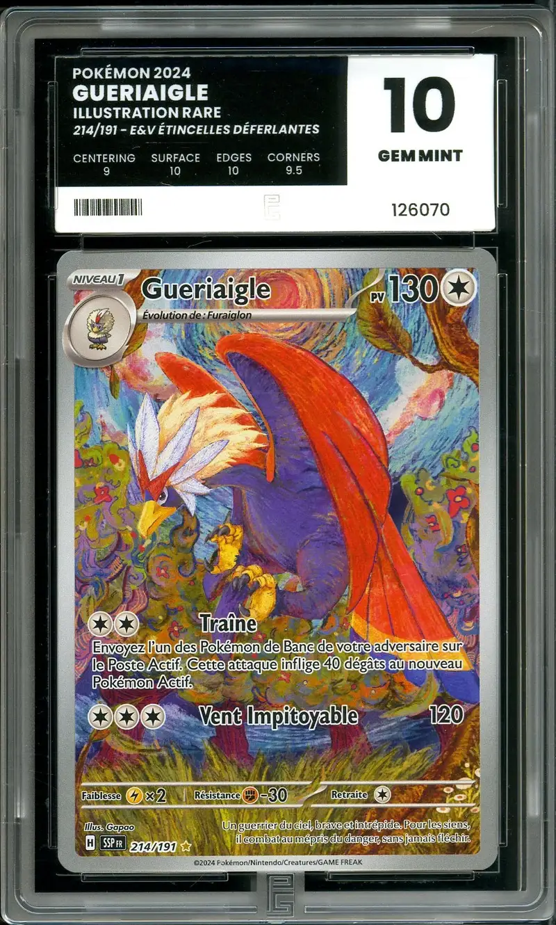 PG 10 Gueriaigle