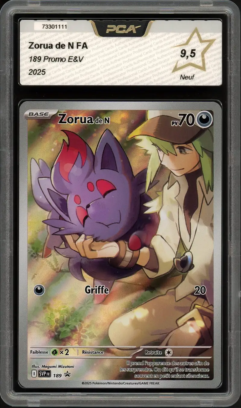 PCA 9.5 Zorua de N