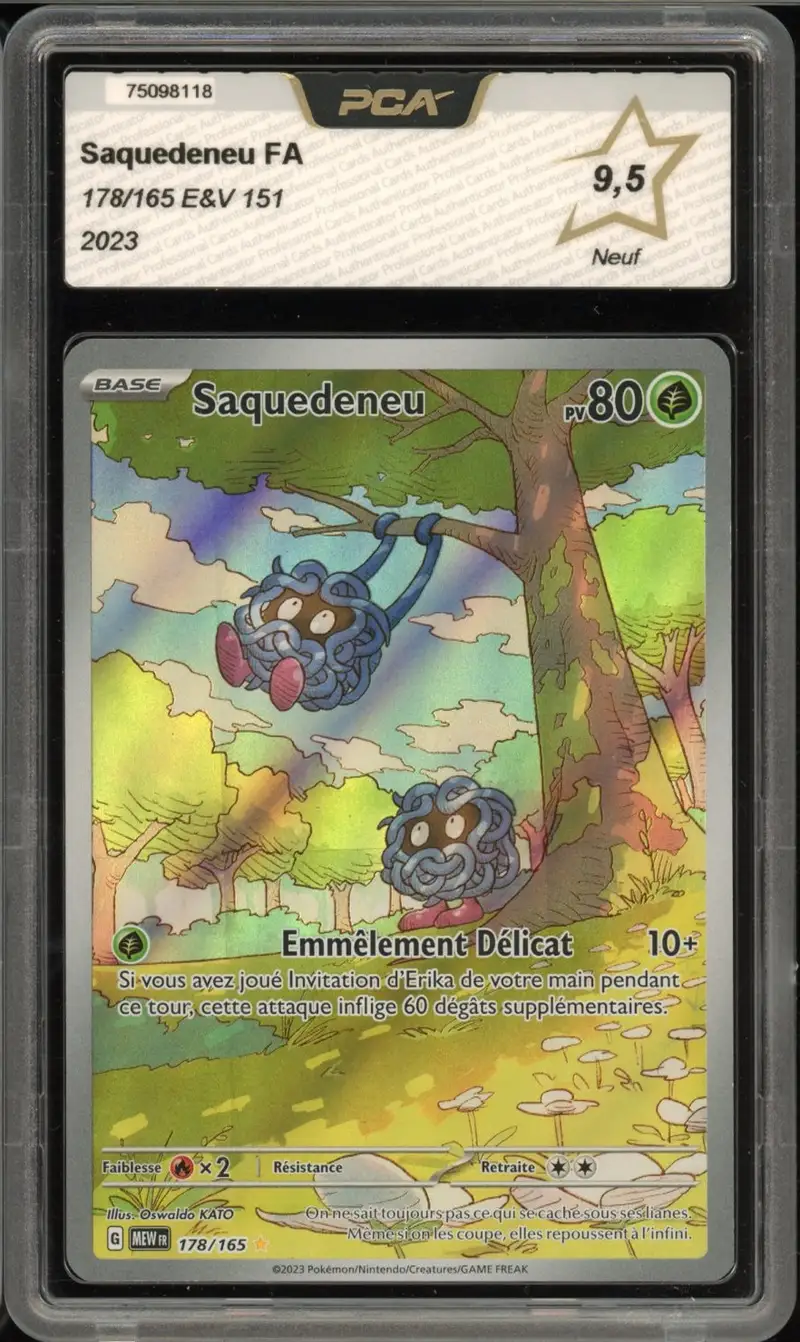 PCA 9.5 Saquedeneu