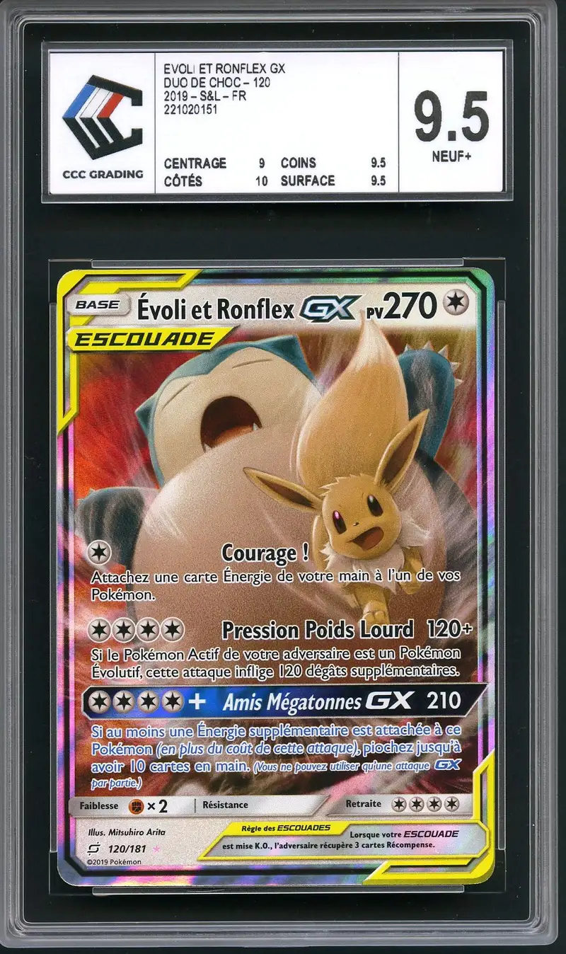 CCC 9.5 Evoli et Ronflex Gx