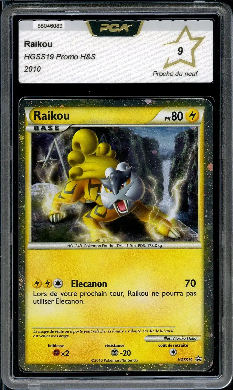 PCA 9 Raikou Holo