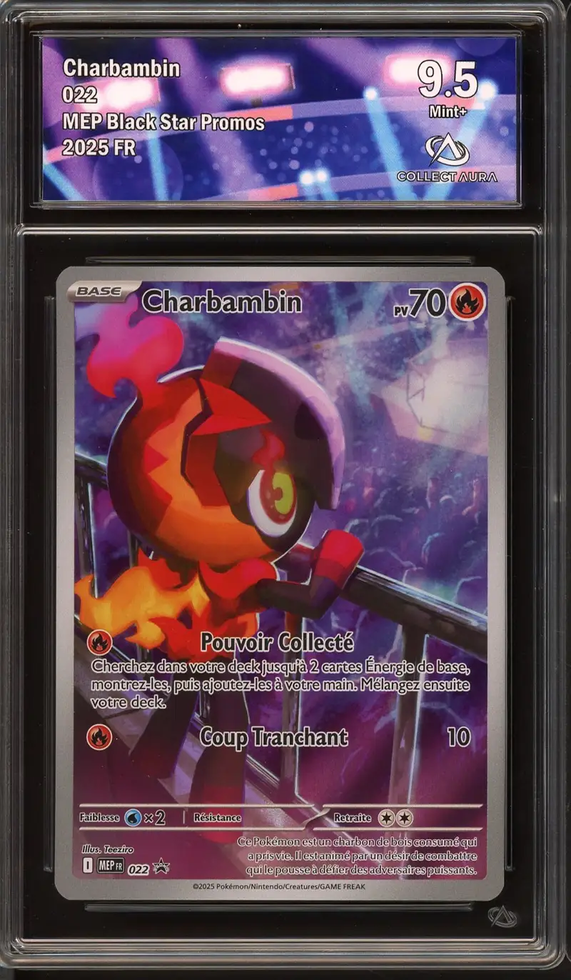 CA 9.5 Charbambin