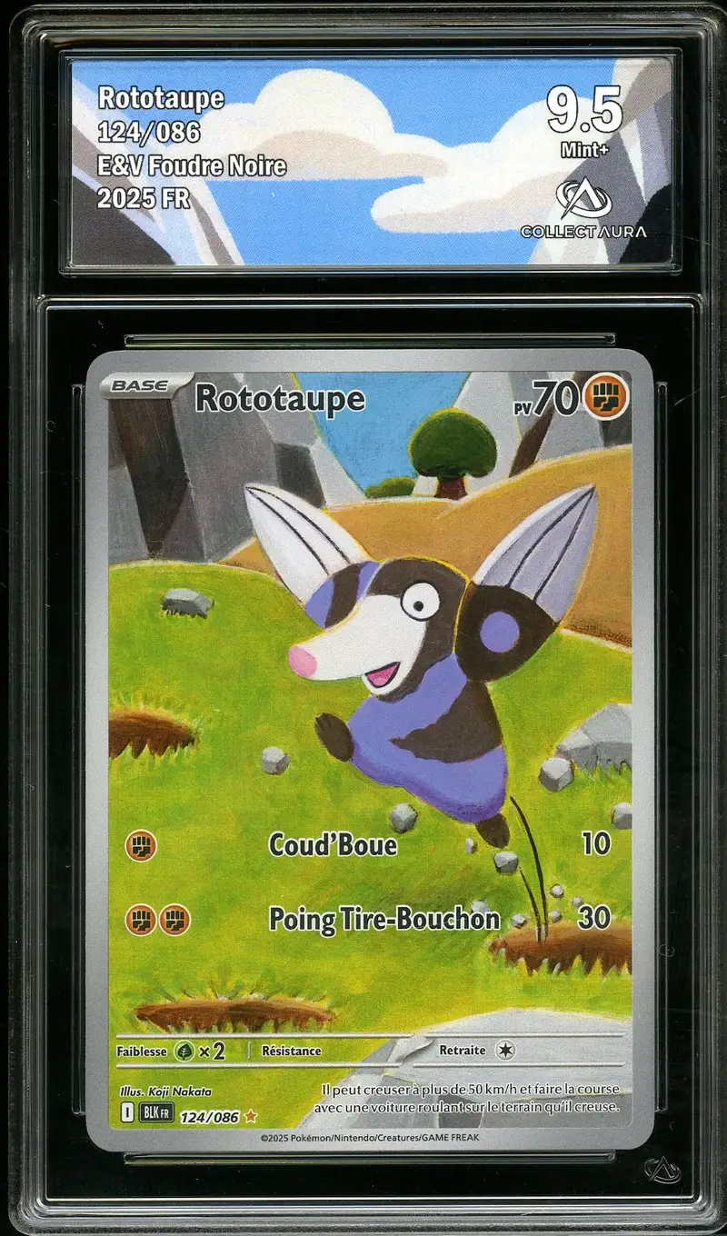CA 9.5 Rototaupe
