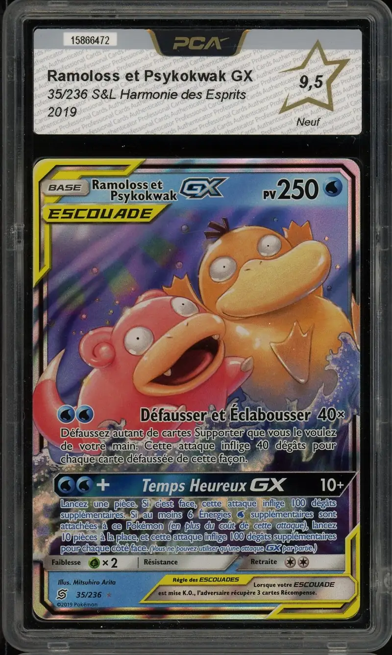 PCA 9.5 Ramoloss et Psykokwak Gx