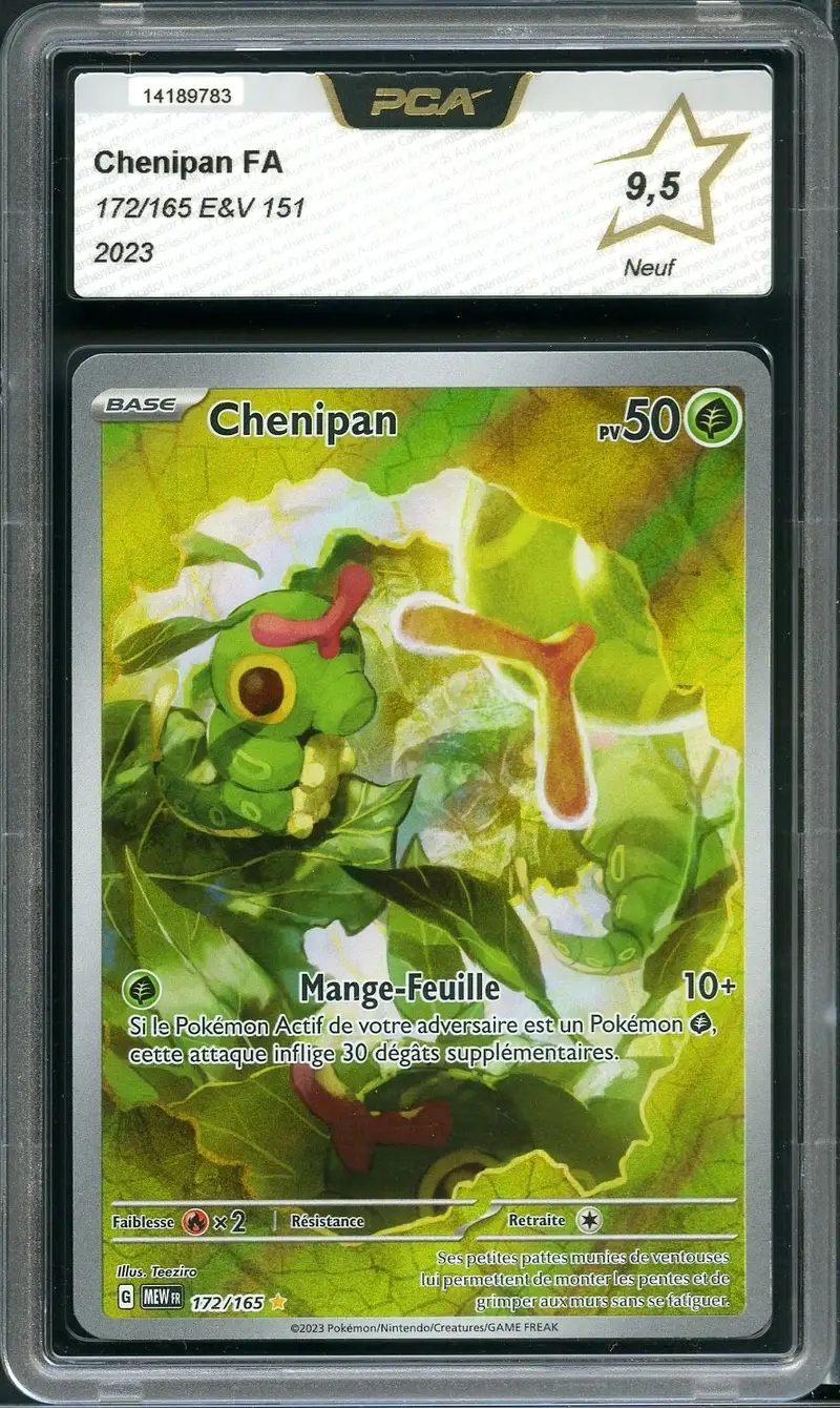 PCA 9.5 Chenipan