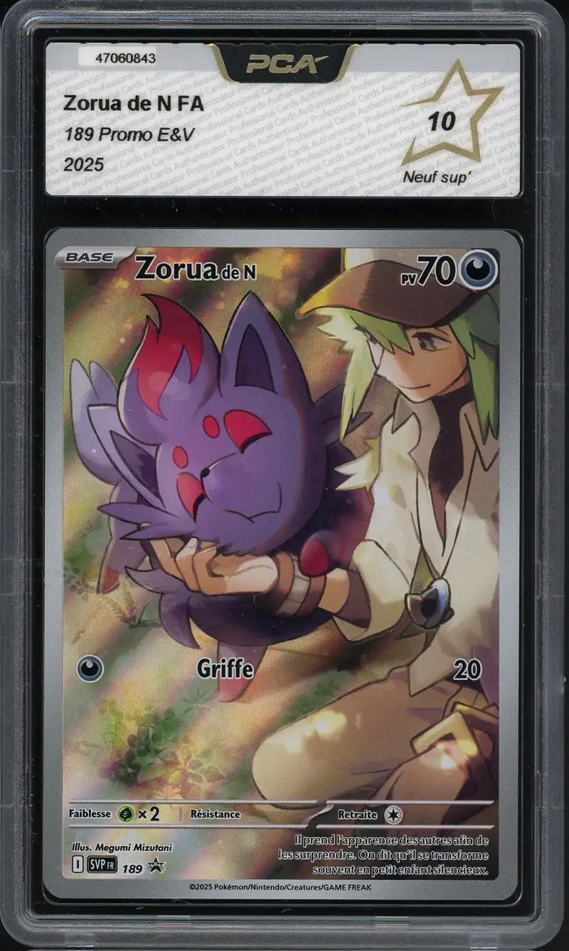PCA 10 Zorua de N