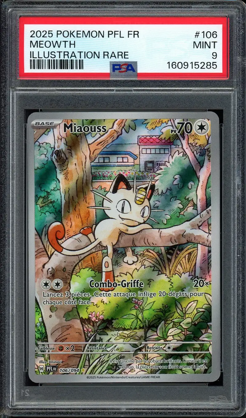 PSA 9 Miaouss