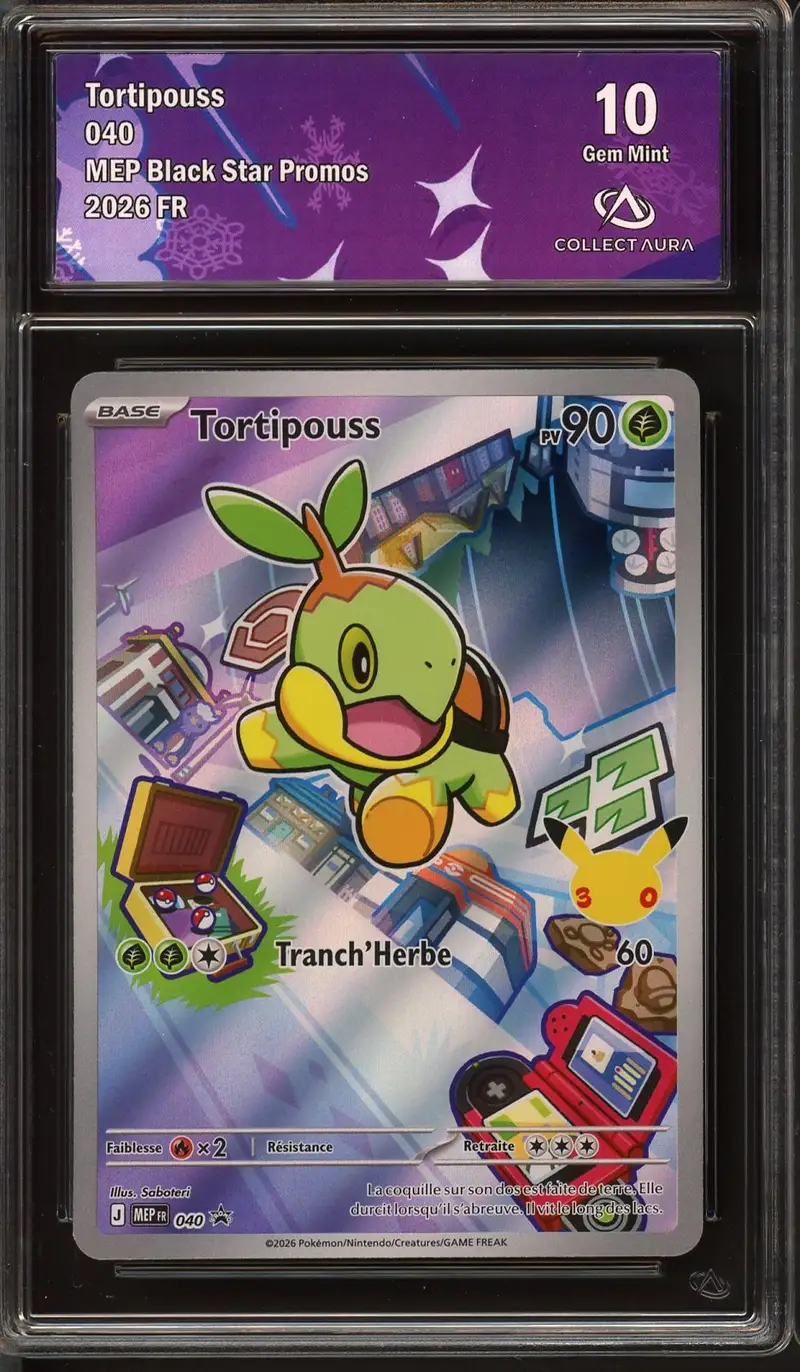 CA 10 Tortipouss