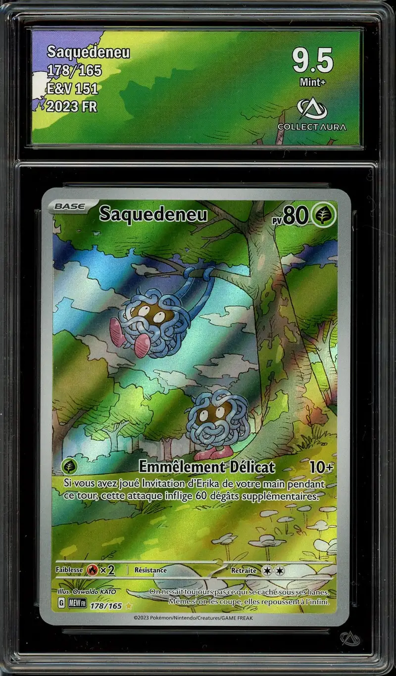 CA 9.5 Saquedeneu