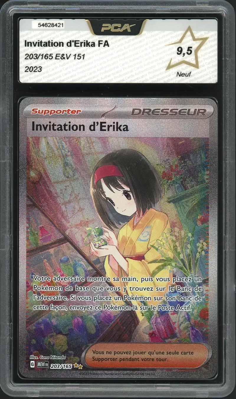 PCA 9.5 Invitation d'Erika