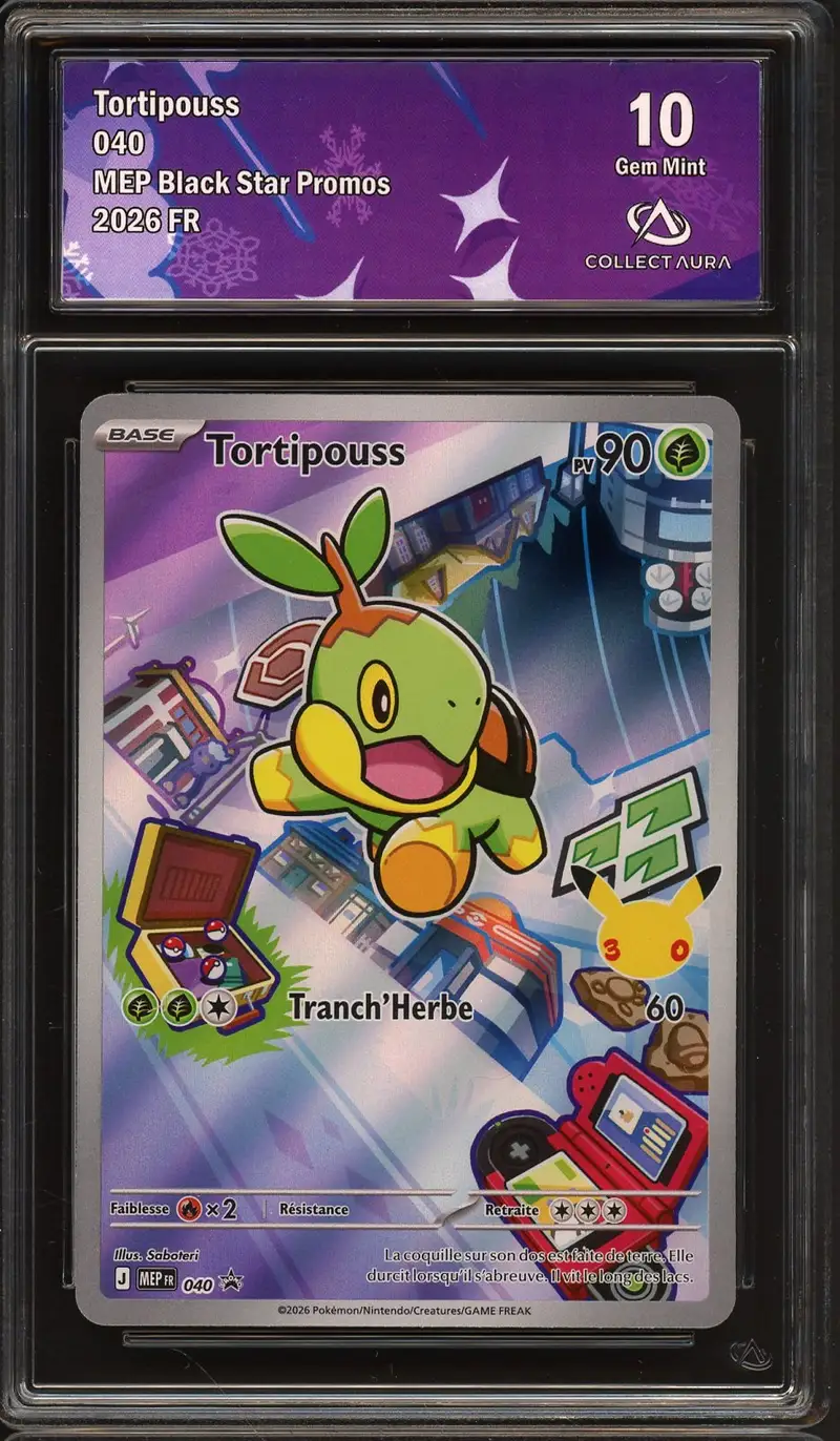 CA 10 Tortipouss