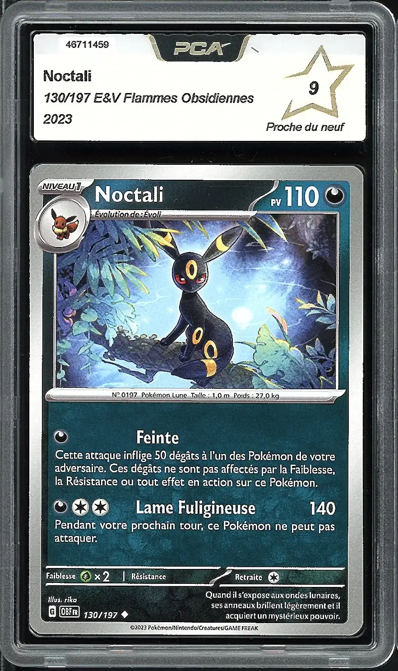 PCA 9 Noctali