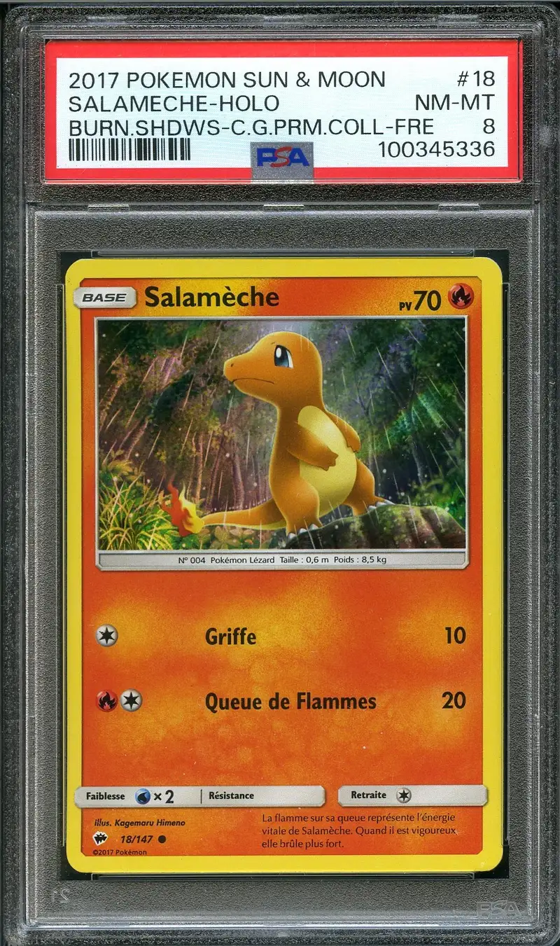 PSA 8 Salamèche Holo