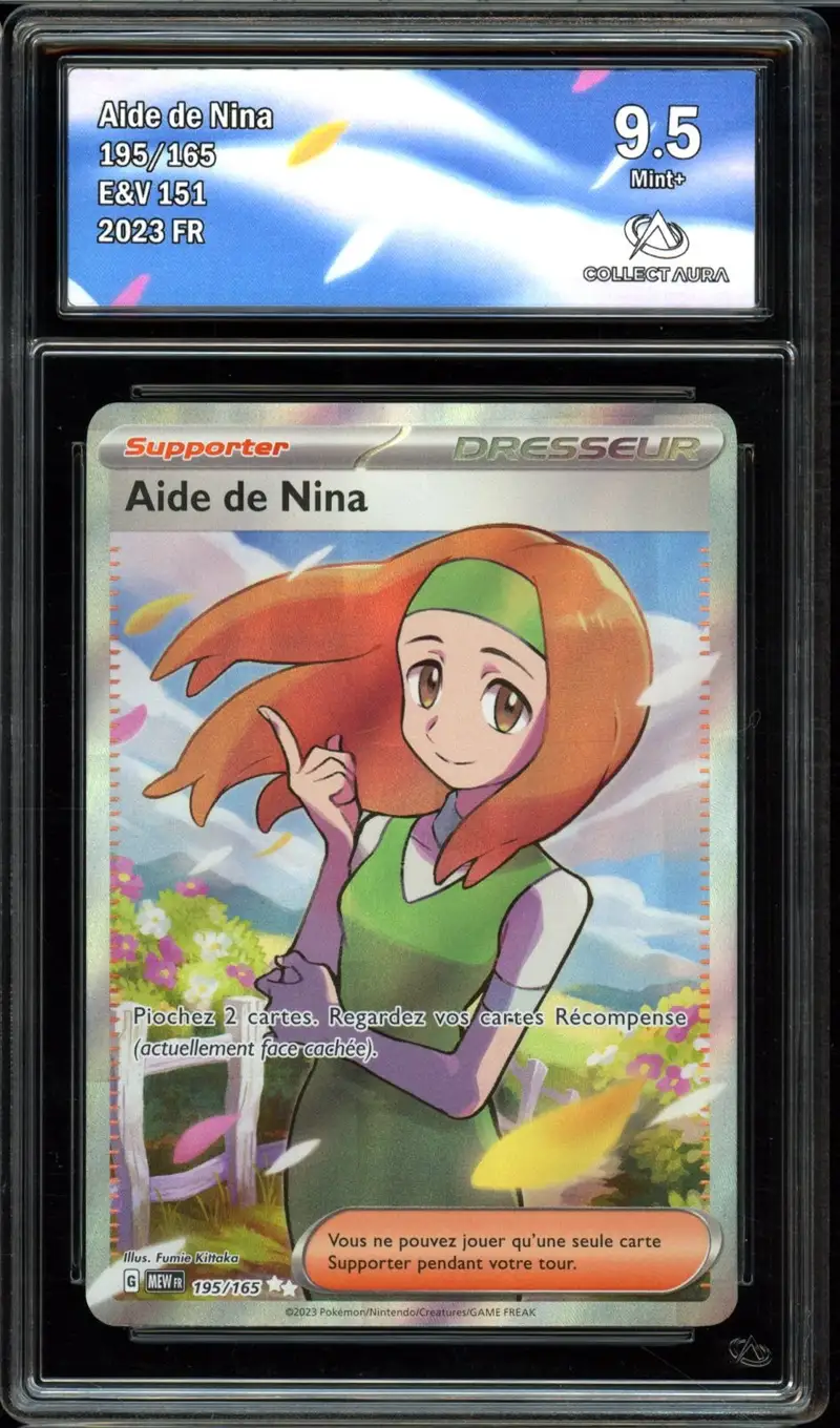 CA 9.5 Aide de Nina