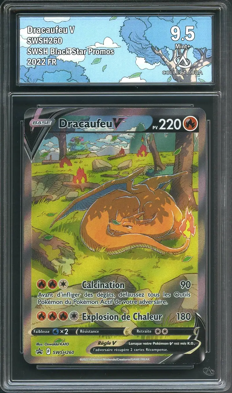 CA 9.5 Dracaufeu V