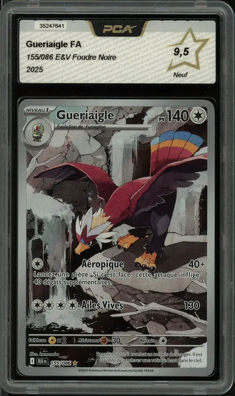 PCA 9.5 Gueriaigle