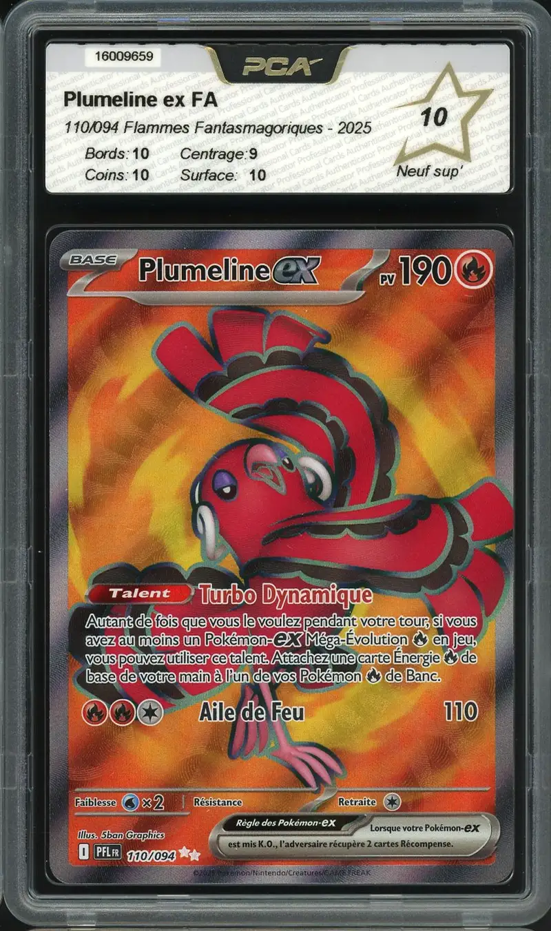 PCA 10 Plumeline