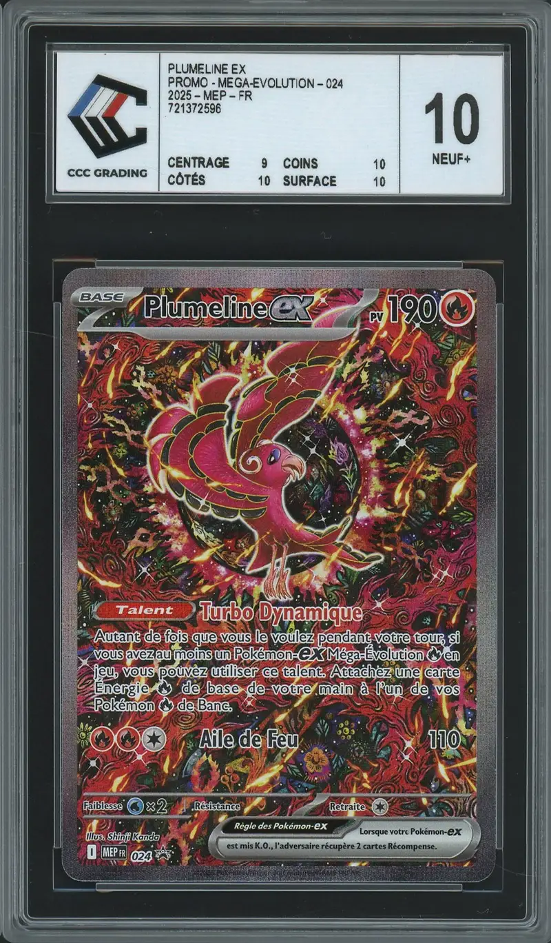 CCC 10 Plumeline Ex