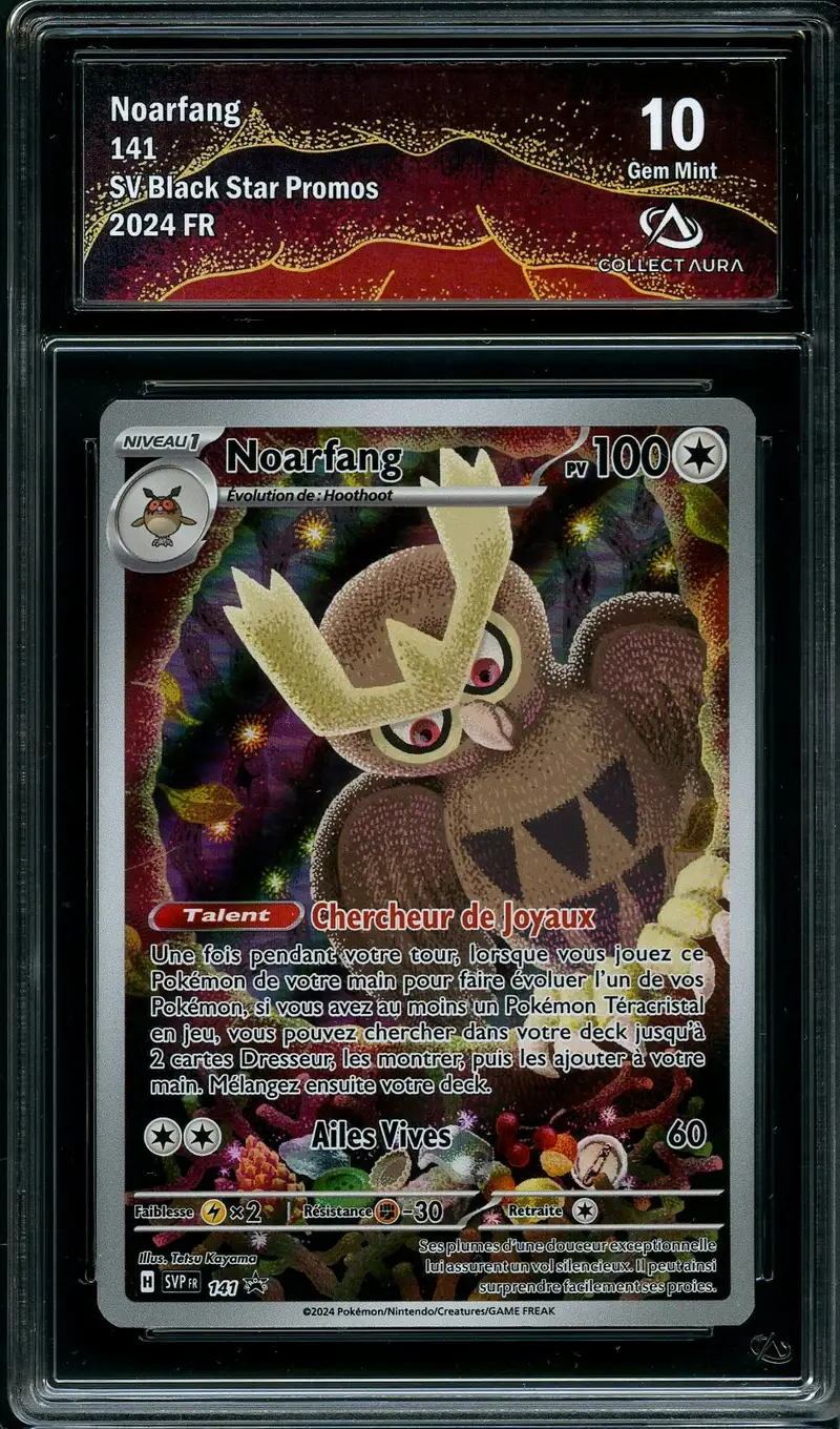 CA 10 Noarfang
