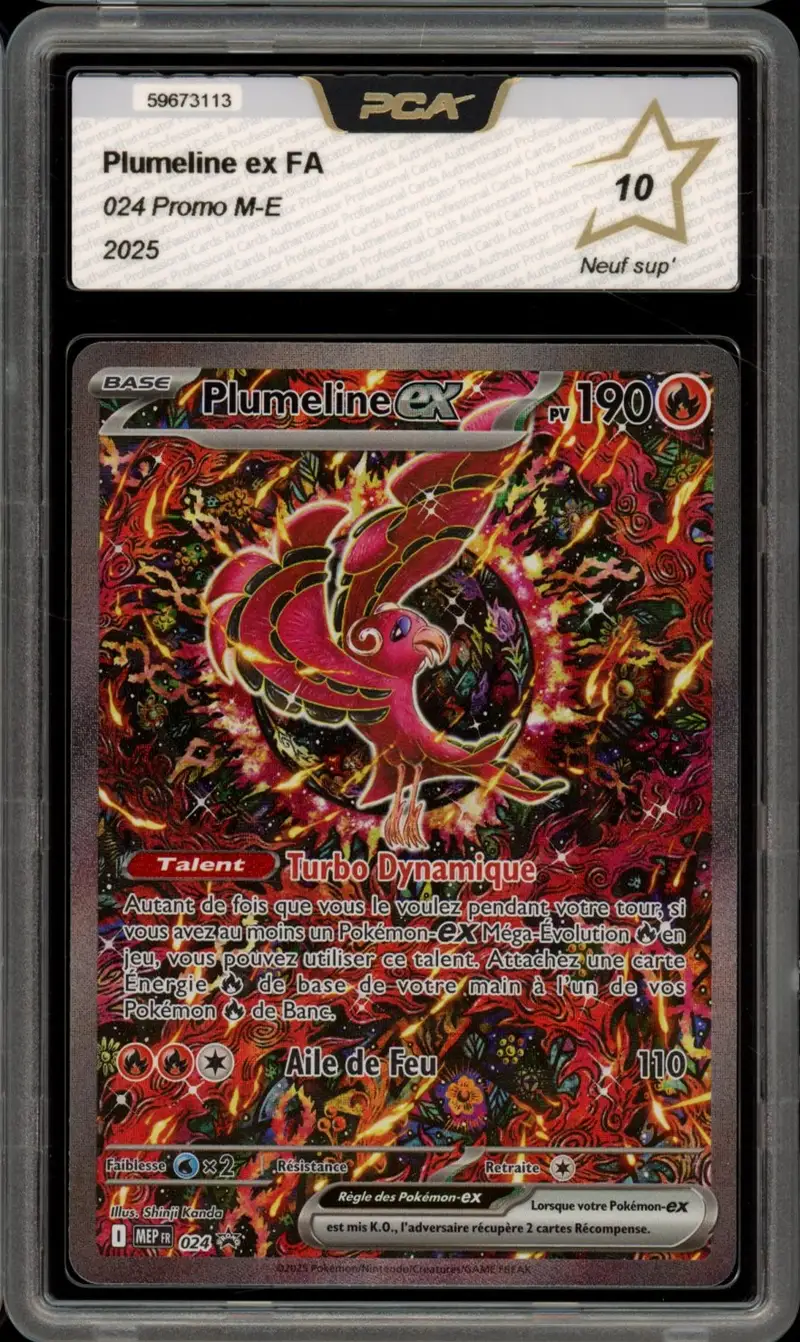 PCA 10 Plumeline Ex