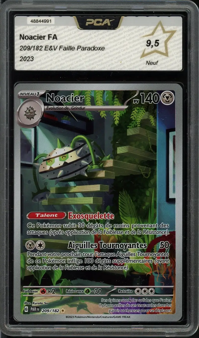 PCA 9.5 Noacier