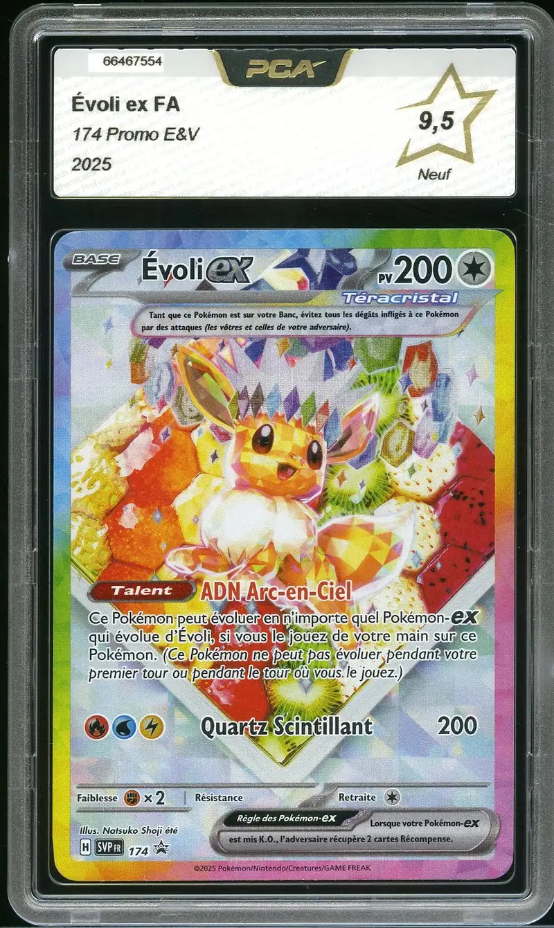 PCA 9.5 Evoli Ex