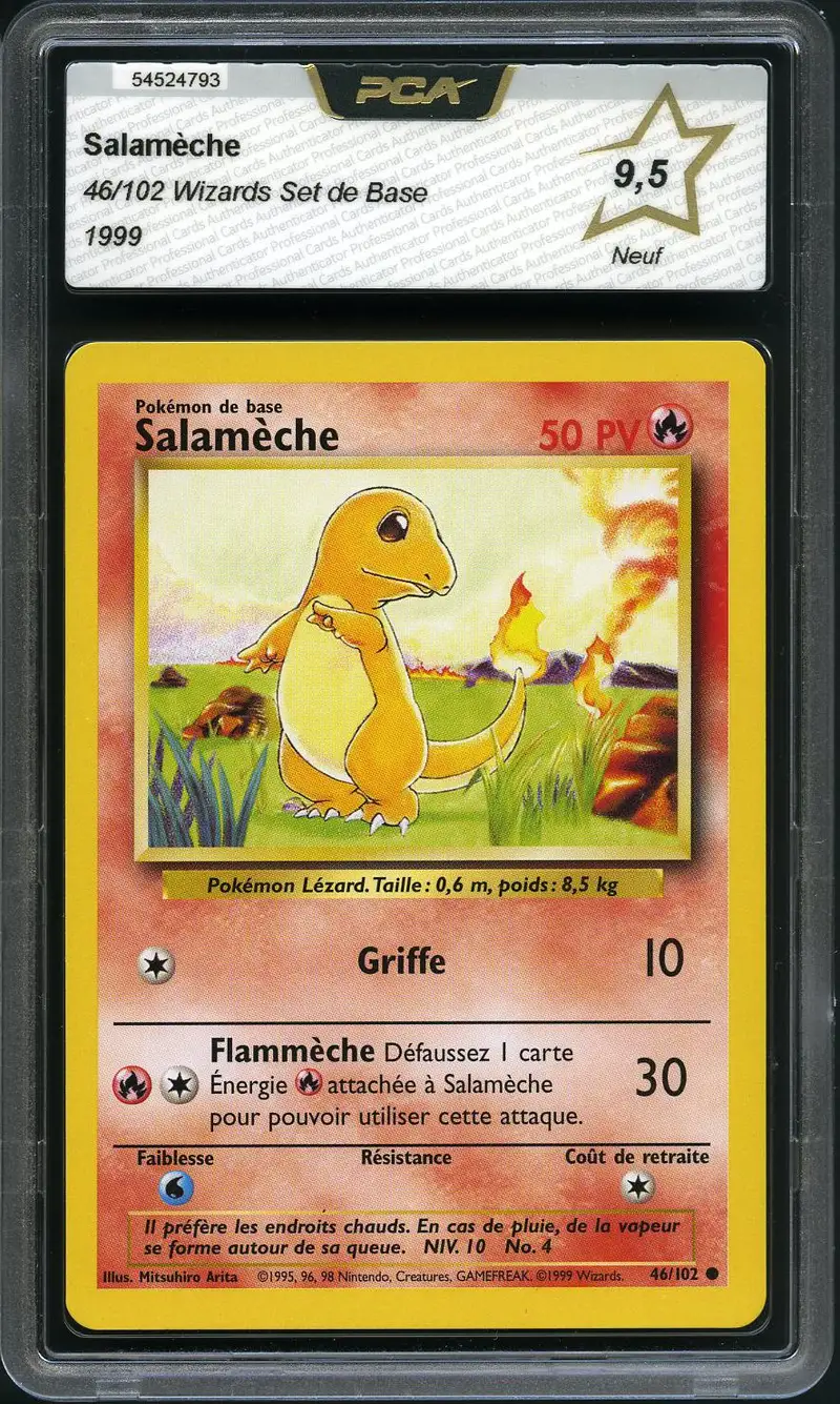 PCA 9.5 Salamèche