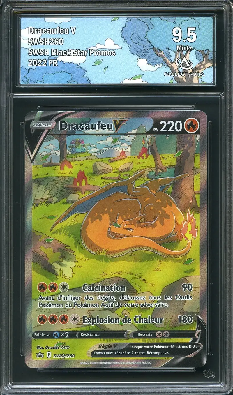 CA 9.5 Dracaufeu V