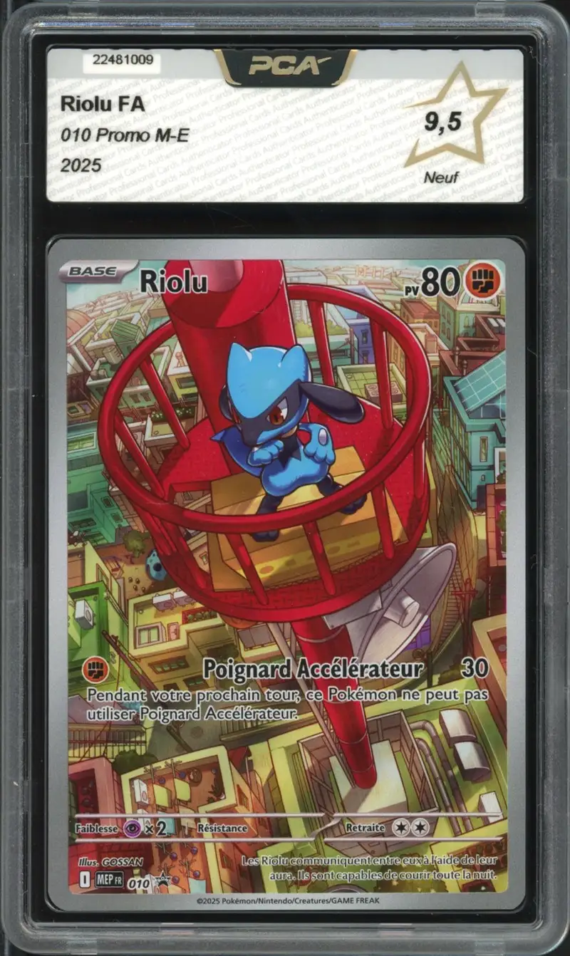PCA 9.5 Riolu