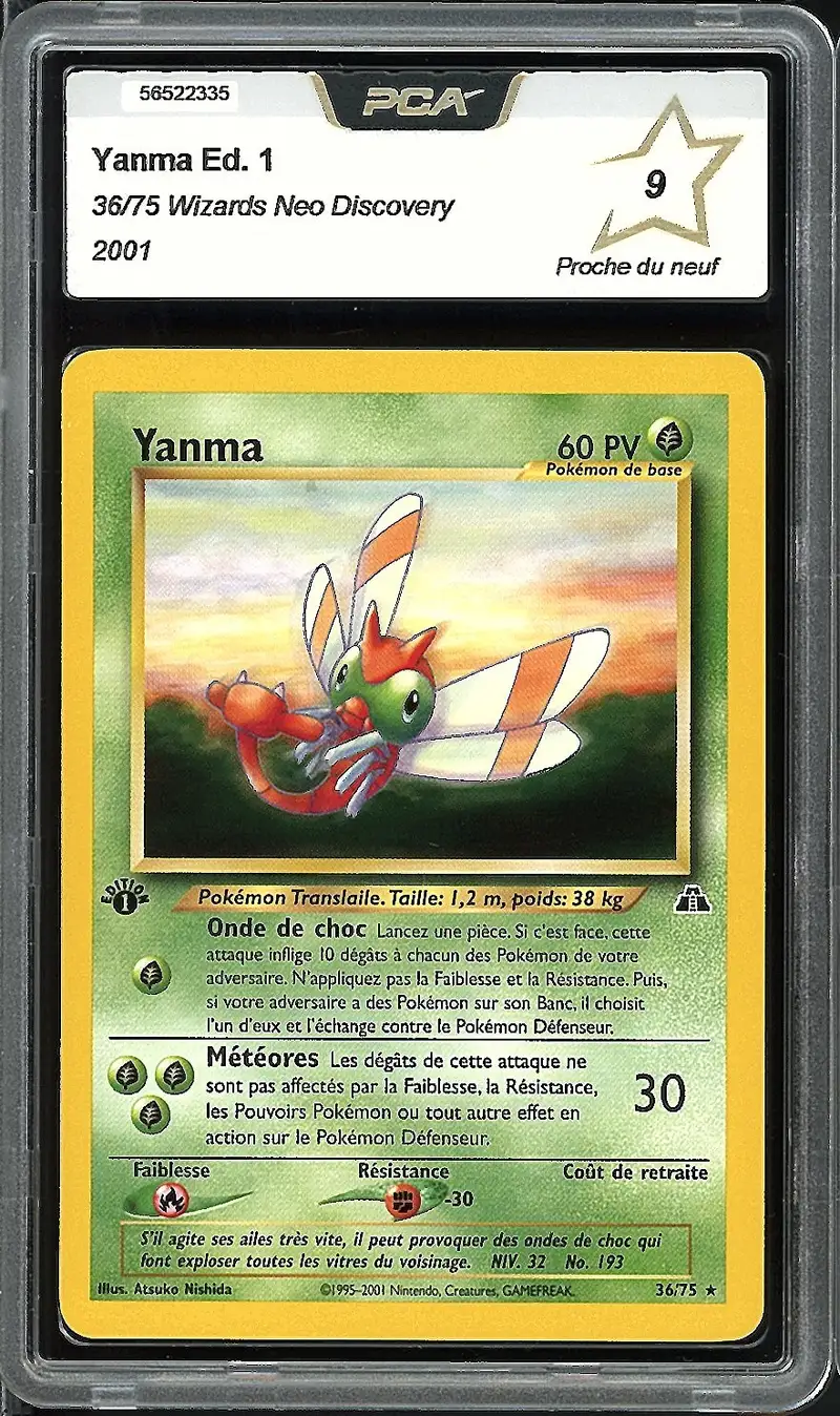 PCA 9 Yanma