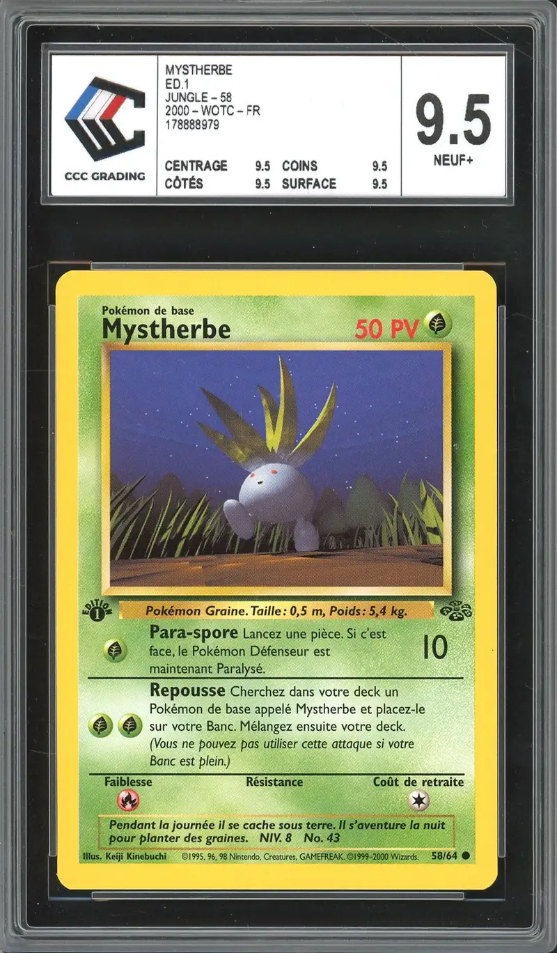 CCC 9.5 Mystherbe