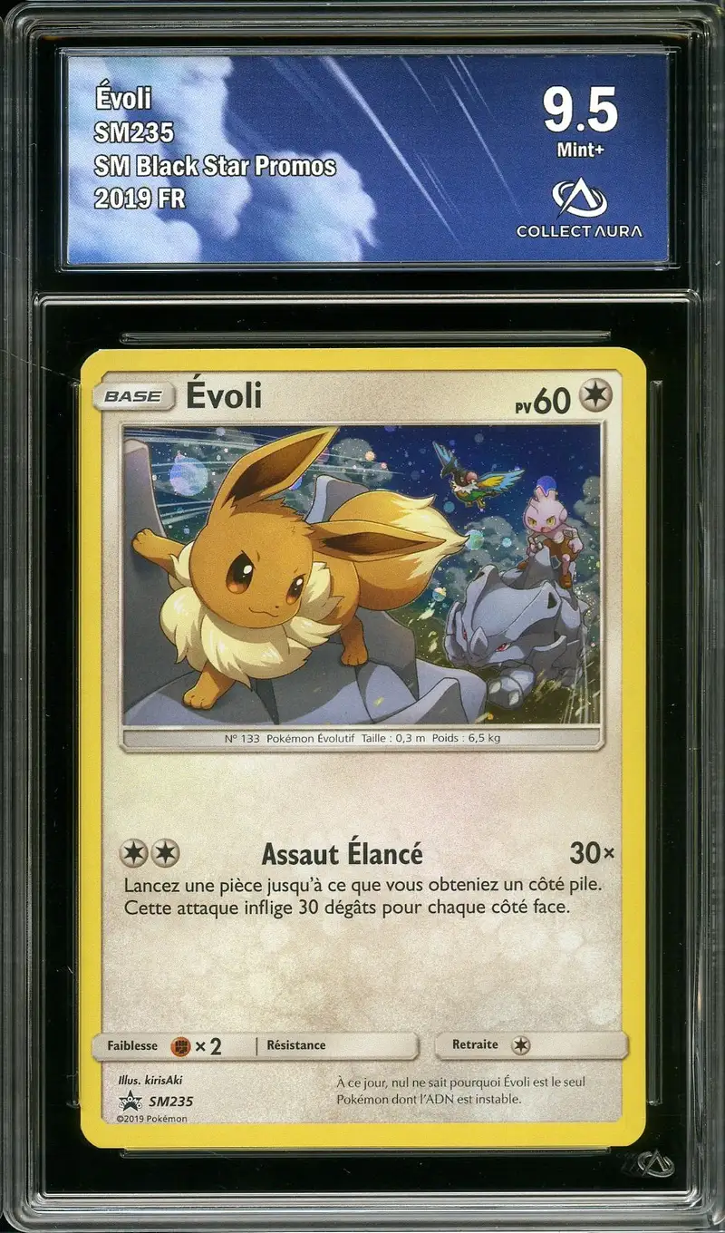 CA 9.5 Evoli