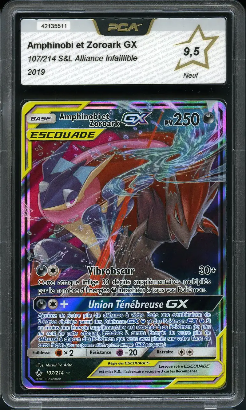 PCA 9.5 Amphinobi et Zoroark Gx