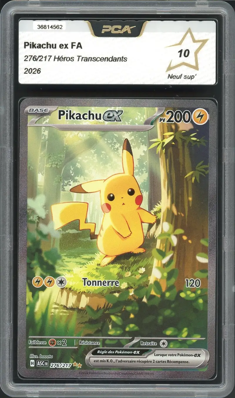 PCA 10 Pikachu Ex
