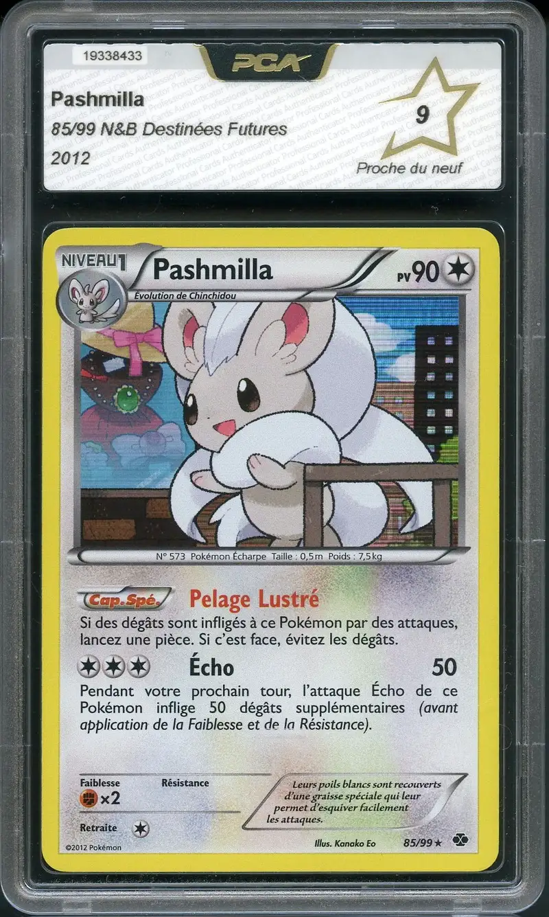 PCA 9 Pashmilla Holo