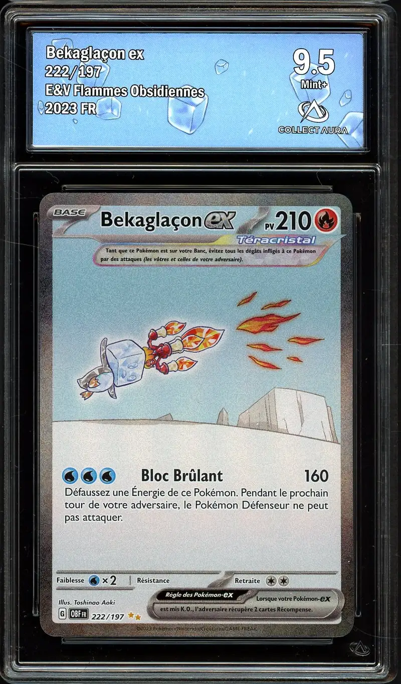 CA 9.5 Bekaglaçon Ex