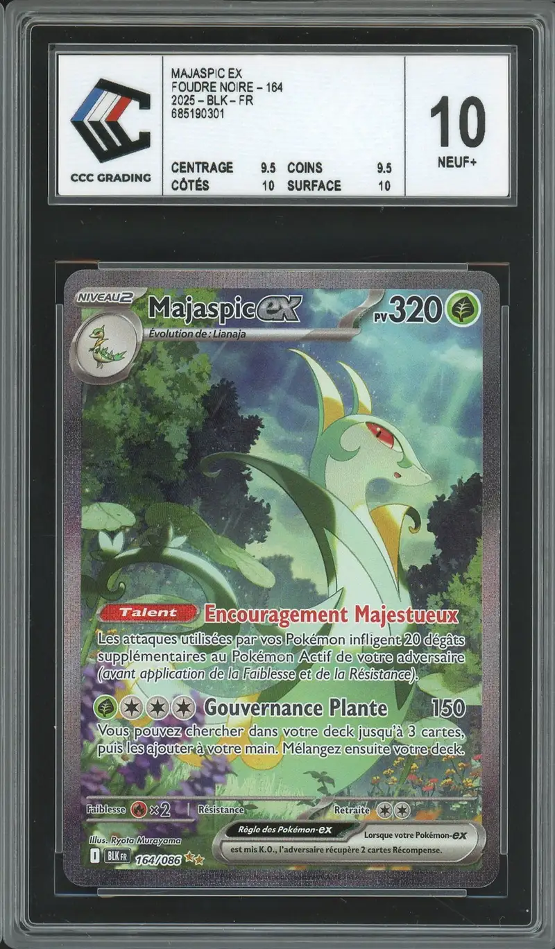 CCC 10 Majaspic Ex