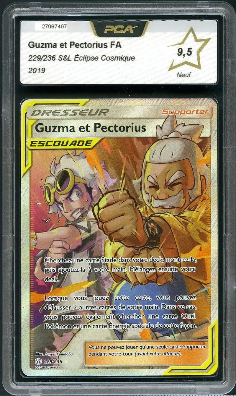 PCA 9.5 Guzma et Pectorius
