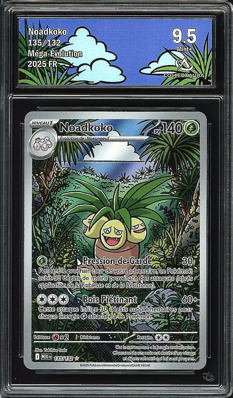 CA 9.5 Noadkoko