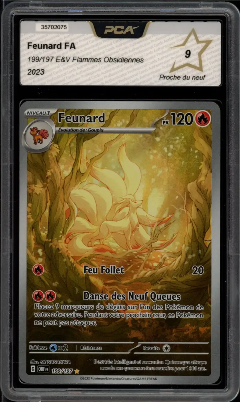 PCA 9 Feunard