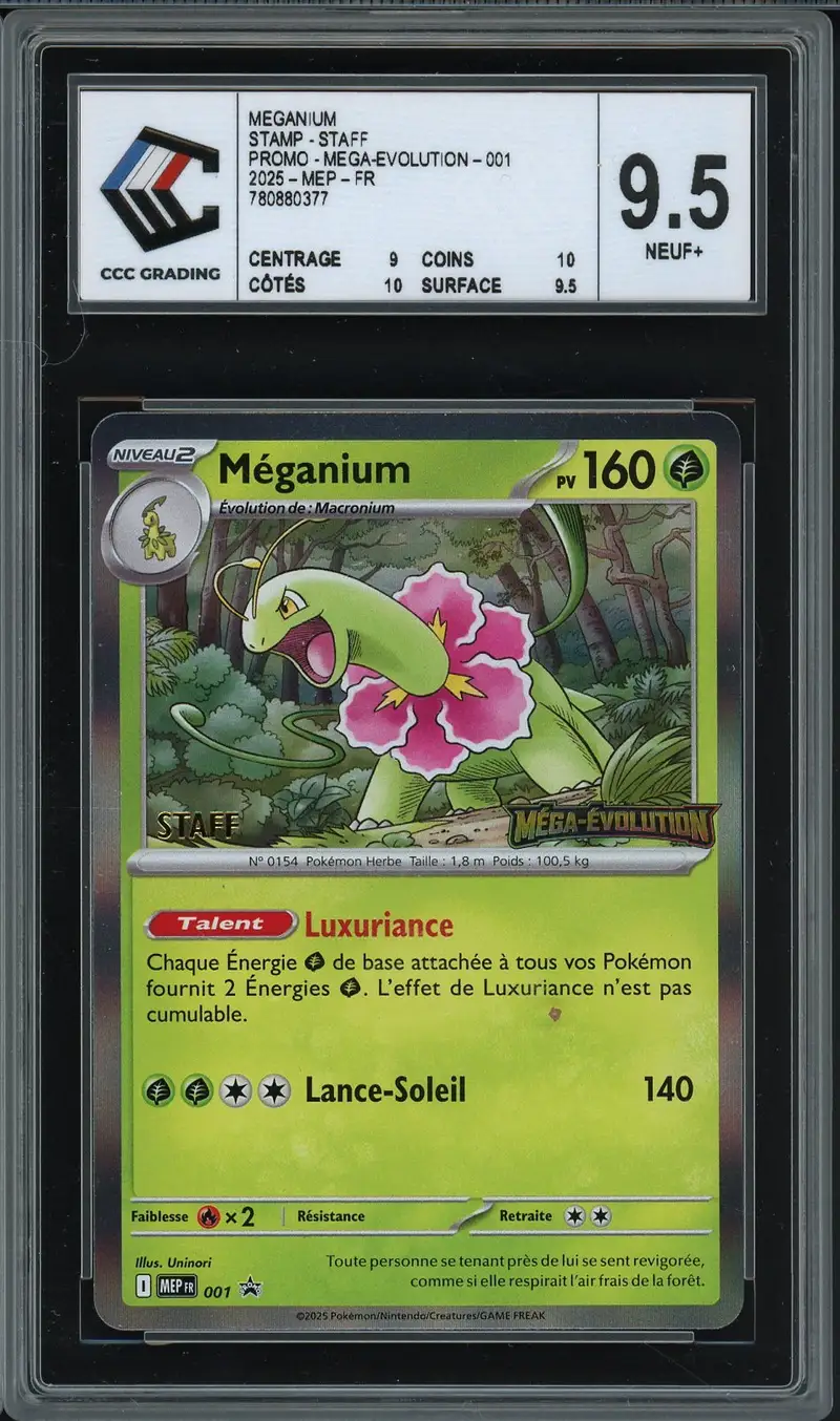 CCC 9.5 Méganium Holo Prerelease Staff