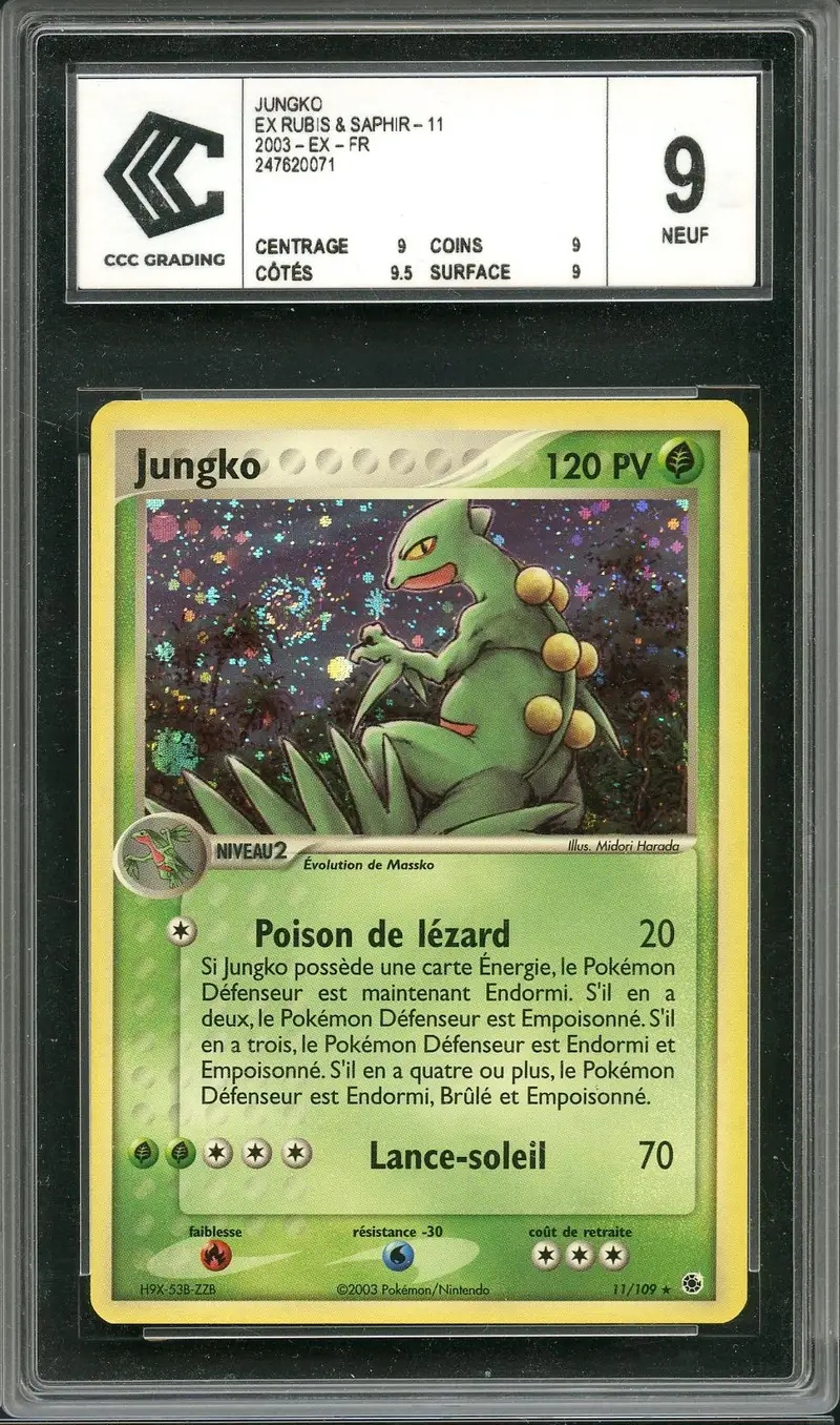 CCC 9 Jungko Holo
