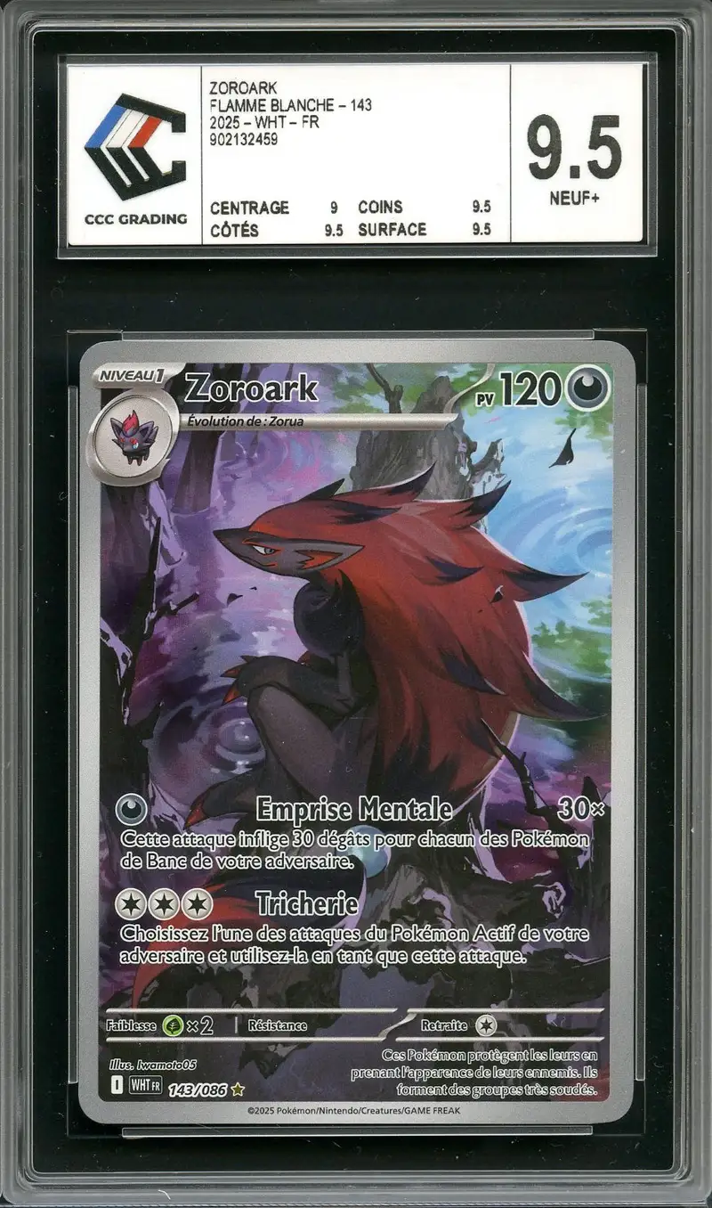 CCC 9.5 Zoroark
