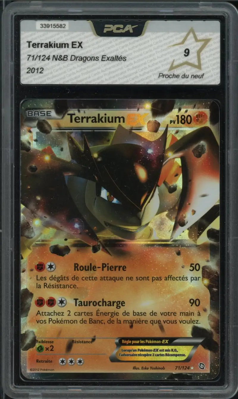 PCA 9 Terrakium Ex