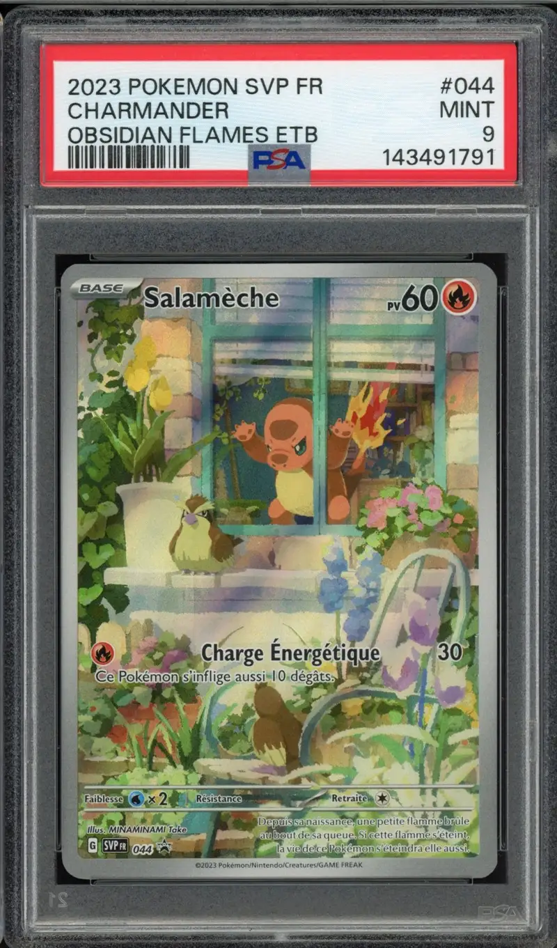 PSA 9 Salamèche
