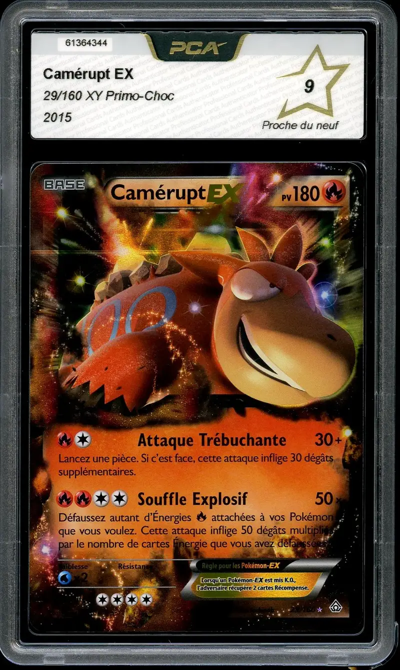 PCA 9 Camérupt Ex